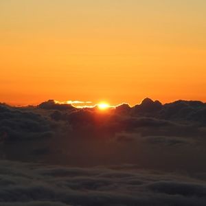 Meet your Posher, Kelli